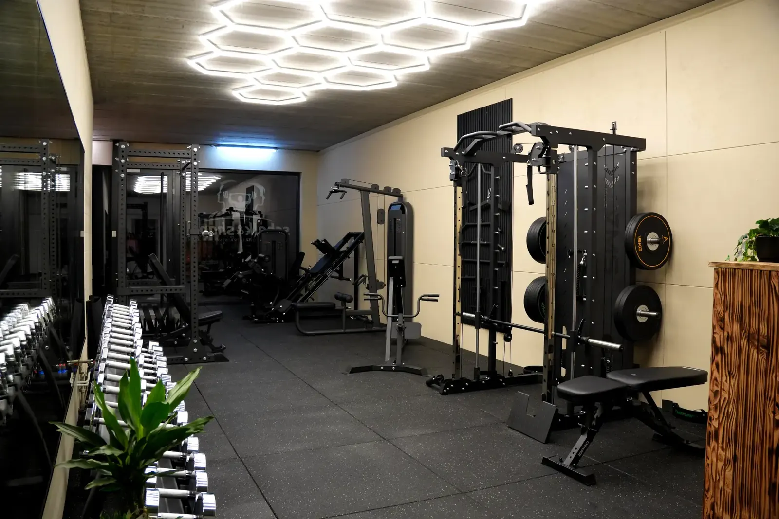 Luxe dumbbells en krachtmateriaal bij Schalk & Shape personal training in Minderhout