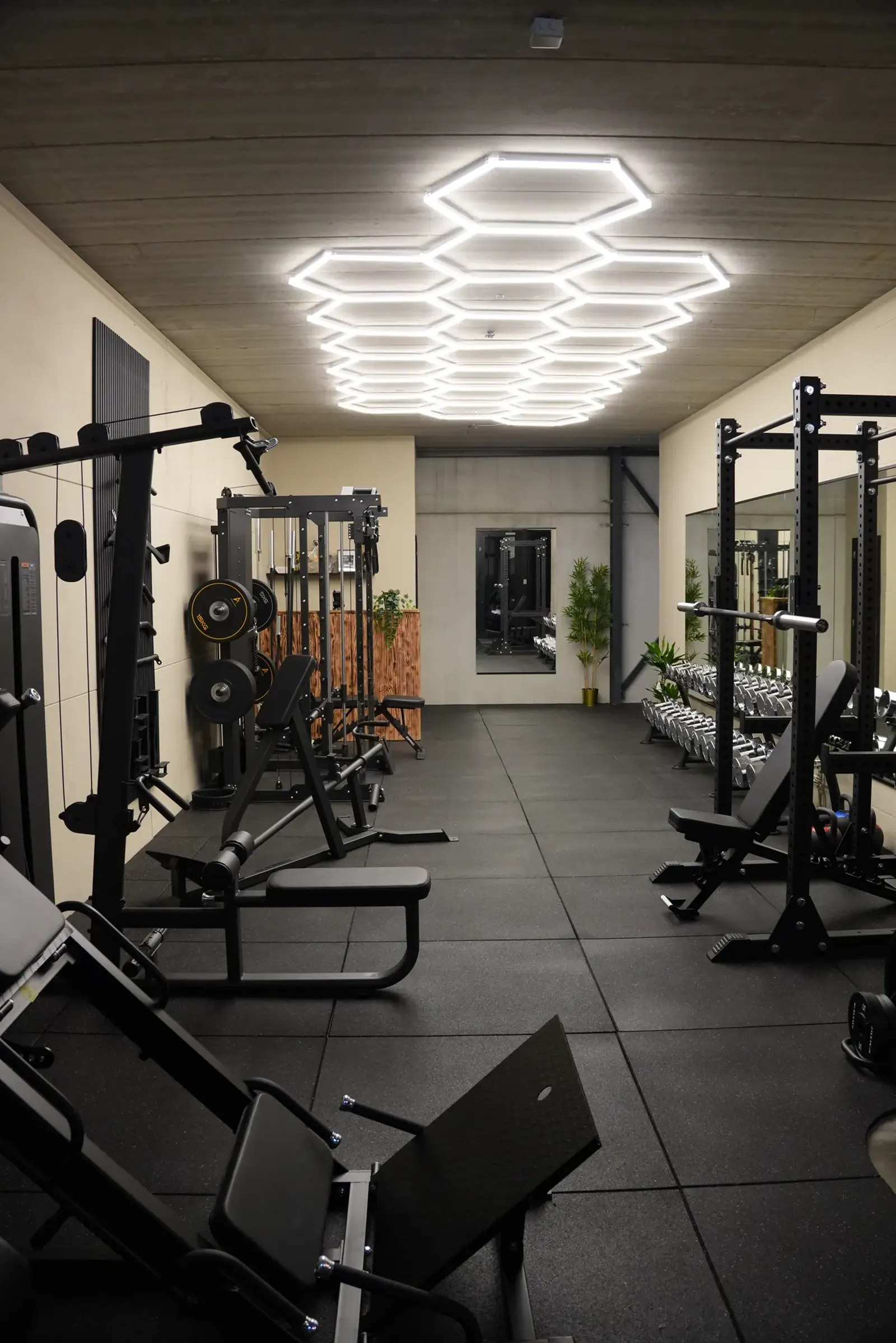 Het gelijkvloers van de private gym van Schalk & Shape met rekken, halterbanken, dumbbells en hexagonverlichting