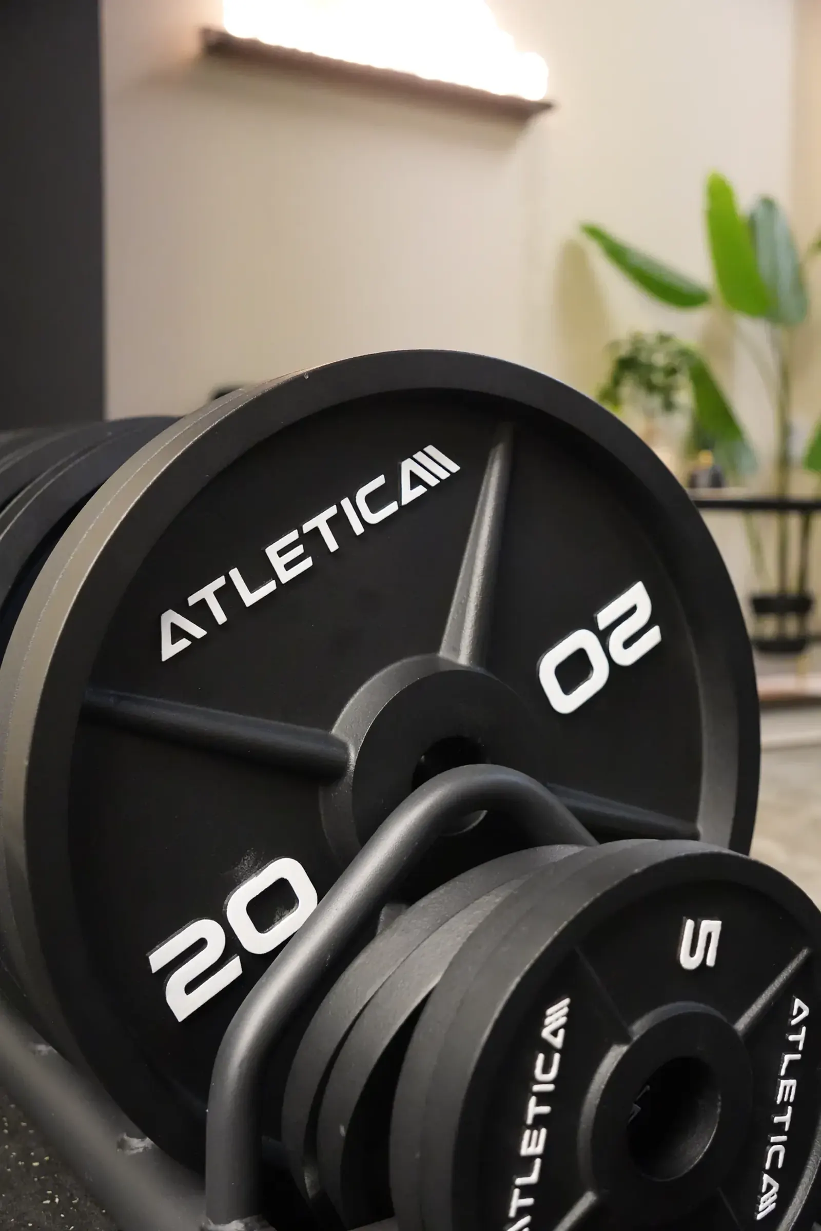 Halterschijven van 20 en 5 kg in de private gym